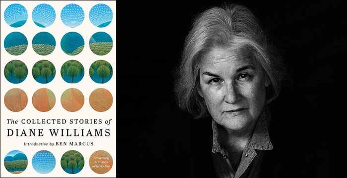 Diane Williams: The Collected Stories of Diane Williams