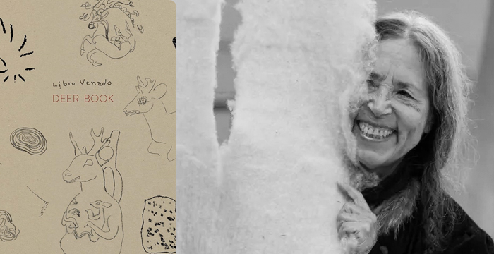 Cecilia Vicuña : Deer Book