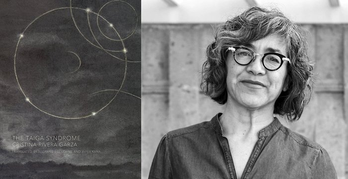 Cristina Rivera Garza : The Taiga Syndrome